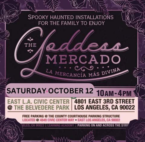 The Goddess Mercado: Spooky Fun House Installations